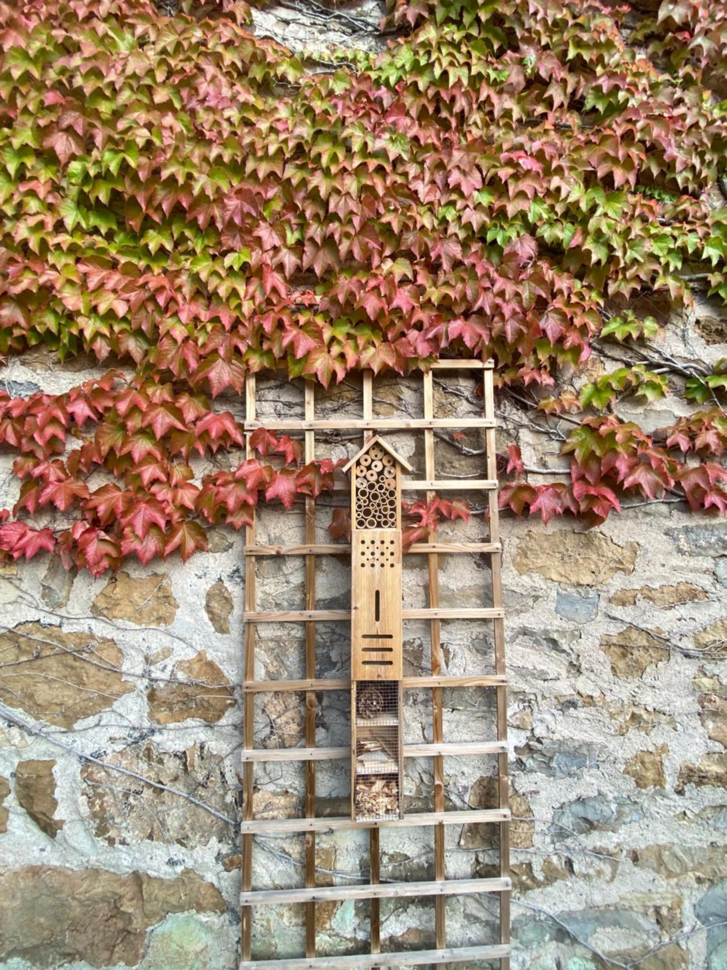 Les Caselles, Gite Et Maison D'Hotes Saint-Beauzely Kültér fotó